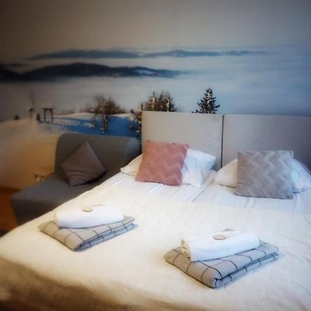 Przy Stoku I Potoku Apartment Wisla Bagian luar foto