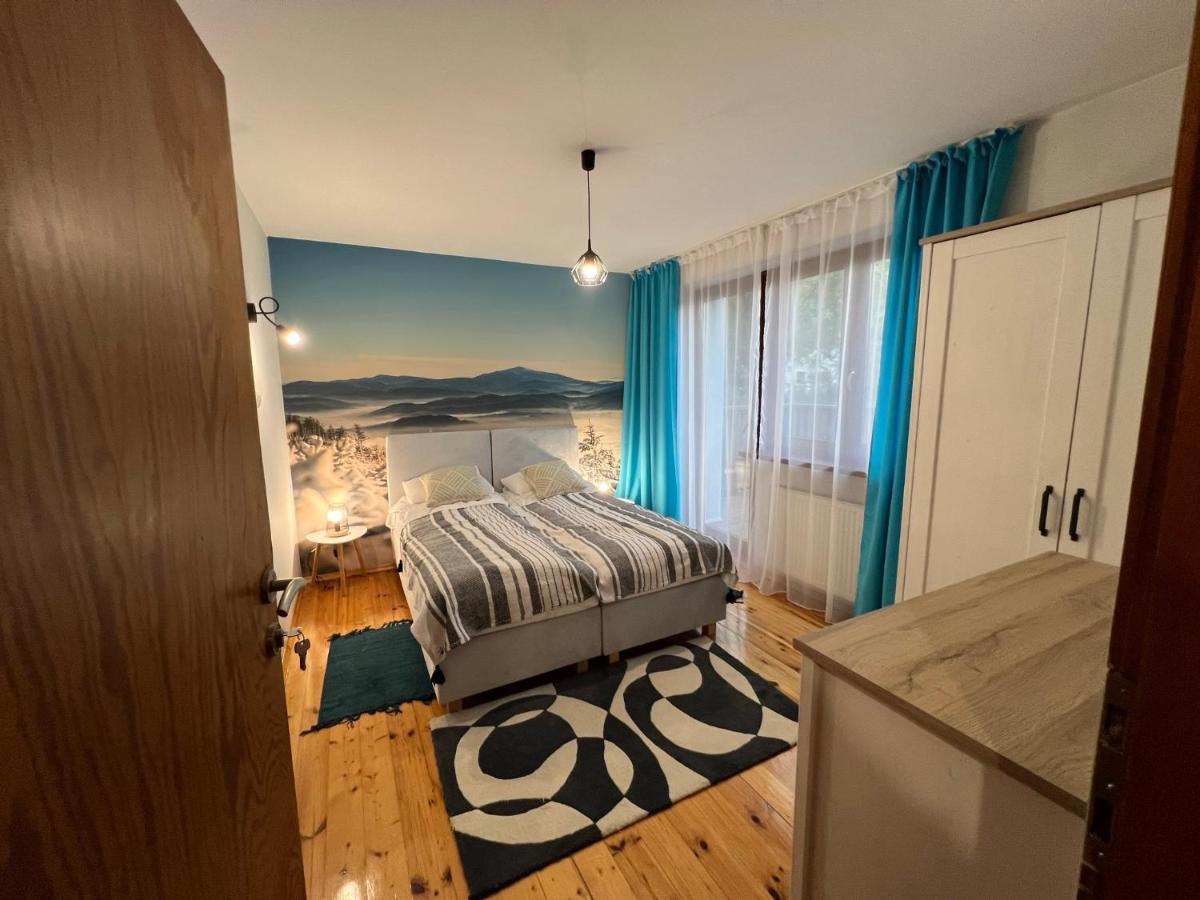 Przy Stoku I Potoku Apartment Wisla Bagian luar foto