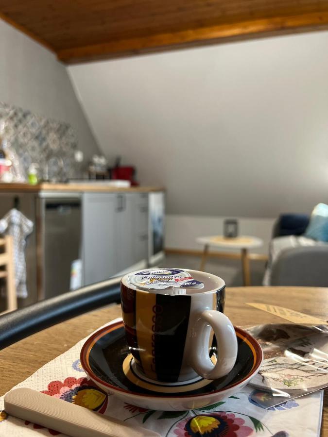 Przy Stoku I Potoku Apartment Wisla Bagian luar foto