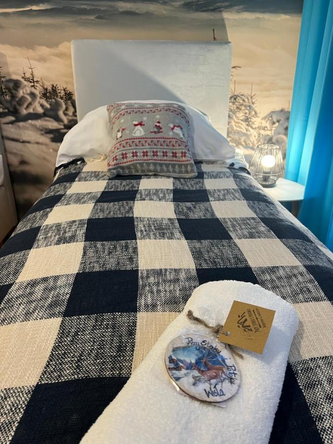 Przy Stoku I Potoku Apartment Wisla Bagian luar foto