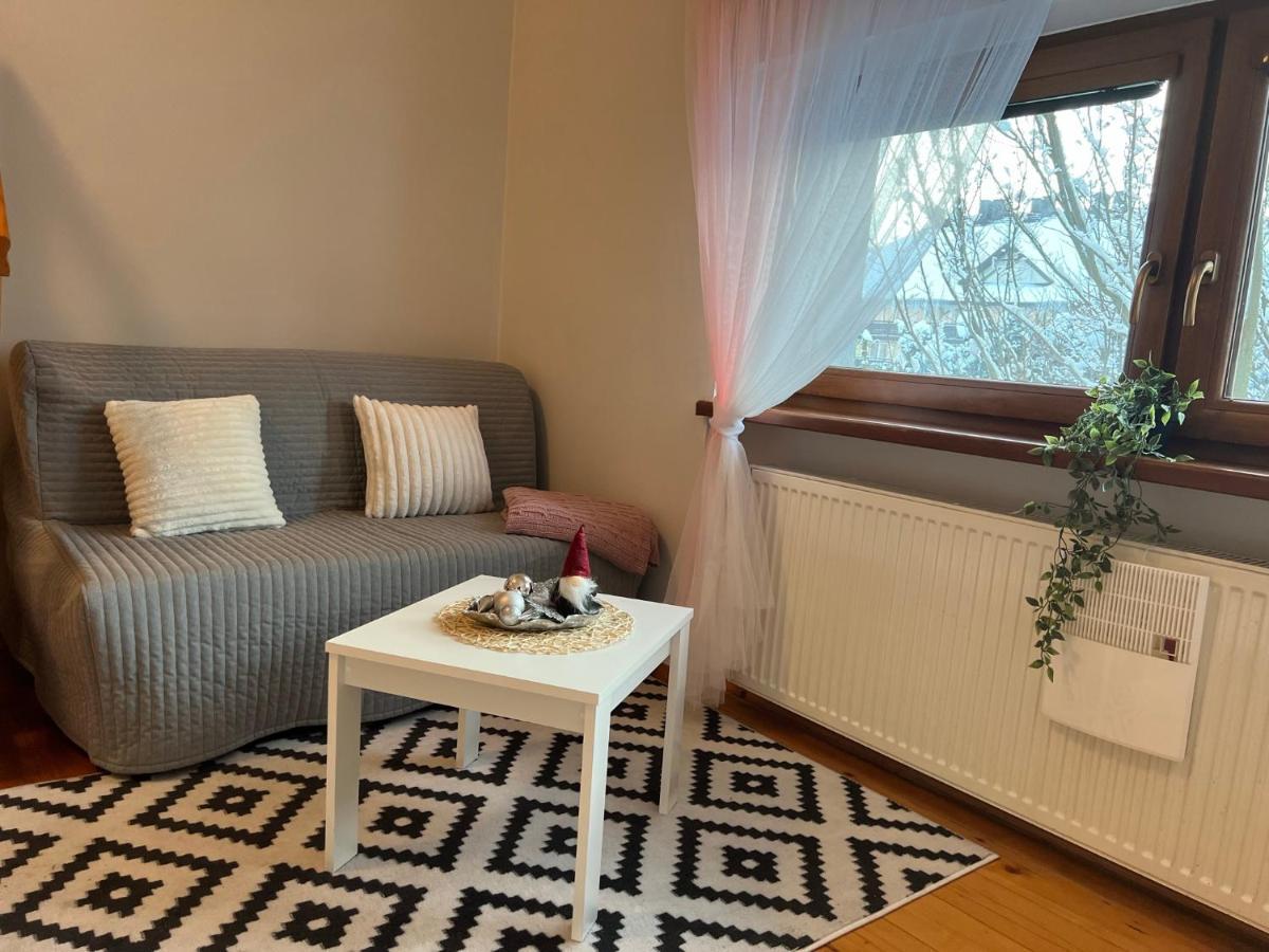Przy Stoku I Potoku Apartment Wisla Bagian luar foto