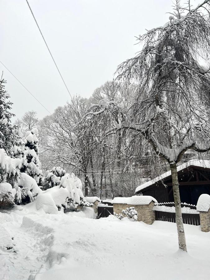 Przy Stoku I Potoku Apartment Wisla Bagian luar foto