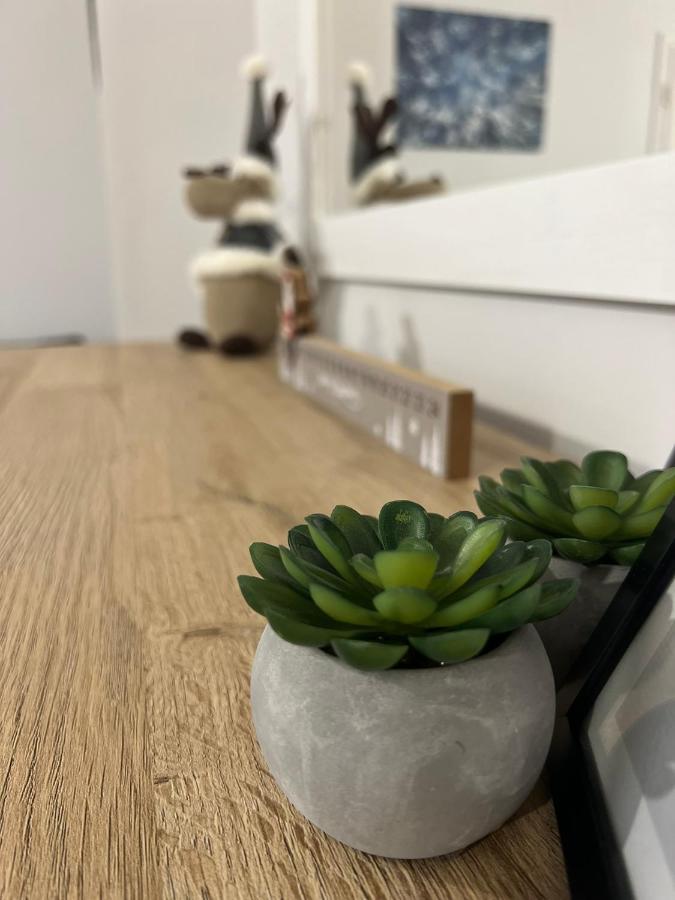 Przy Stoku I Potoku Apartment Wisla Bagian luar foto