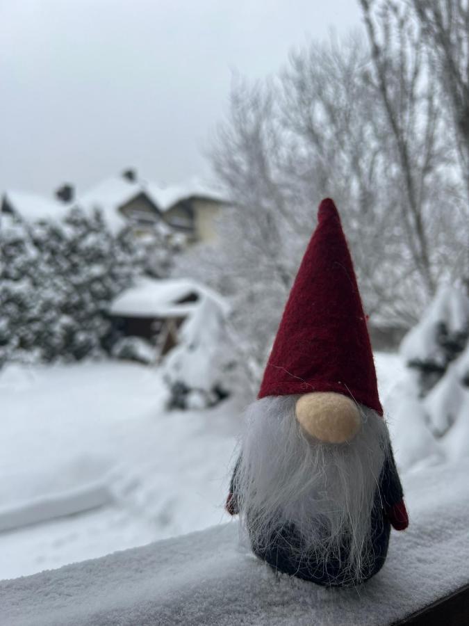 Przy Stoku I Potoku Apartment Wisla Bagian luar foto