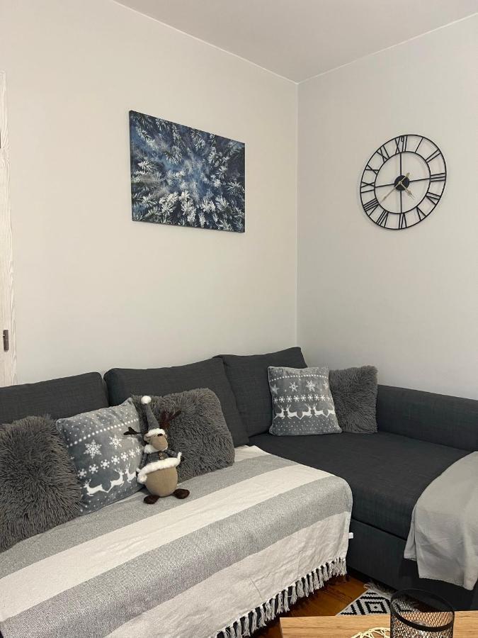 Przy Stoku I Potoku Apartment Wisla Bagian luar foto